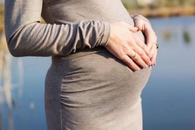 ���������豨���-���������貹����